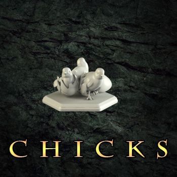 Chicks