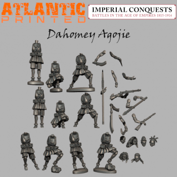 Dahomey Agojie - standard